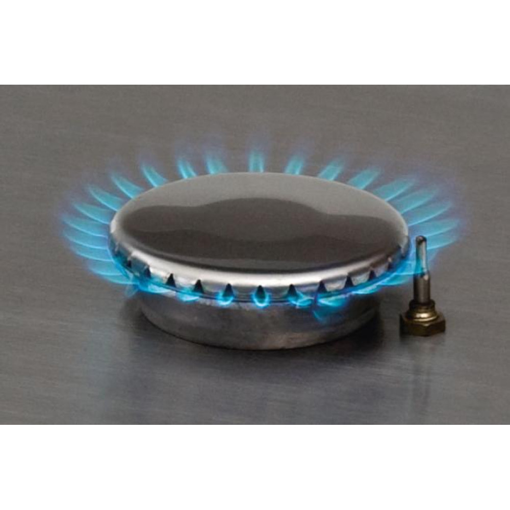 Портативна газова плита Enders Brisbane 2 з термодатчиками