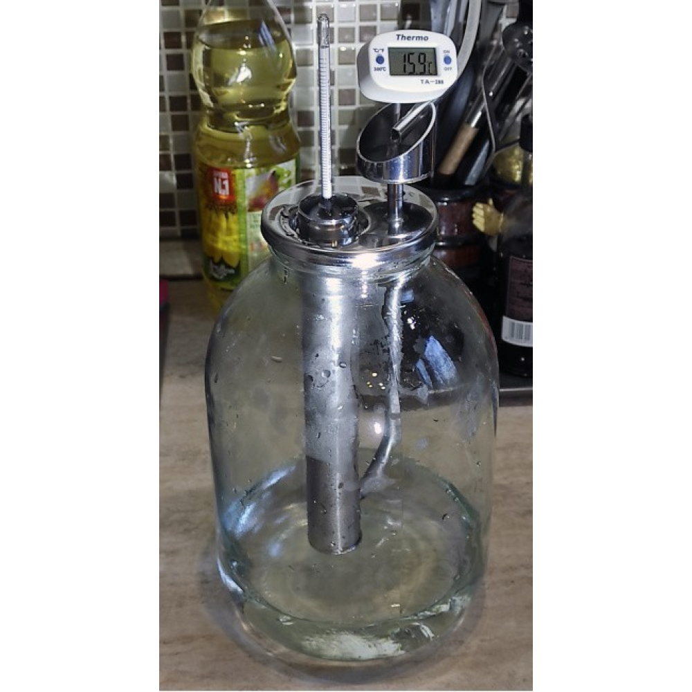 Попугай в банку