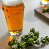 Набір для пива "Бердичівське" на 20л