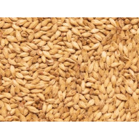 Солод Pale Ale (Пейл Ель) Viking Malt