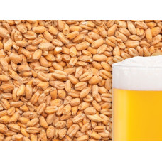 Солод пшеничний Viking Wheat Malt