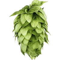 Хміль Mosaic® Brand (МОЗАІК), 1 кг