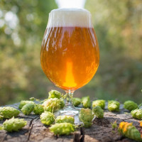 Набір для пива "Віденське" на 20л