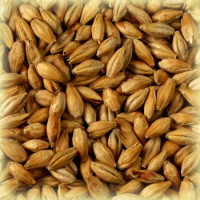 Солод Шато Мюнік 25 EBC