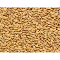 Солод VIKING PILSEN MALT