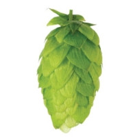 Хміль Стіріан Голдінг (Styrian Golding) α-3,8% 50г