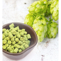 Хміль Yellow Sub - 50g,α-6,0%