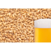 Солод карамельний BEST Caramel® Pils