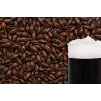 Солод BEST Roasted Barley 0.25 кг