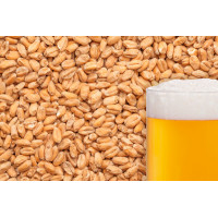 Солод пшеничный BEST Wheat Malt