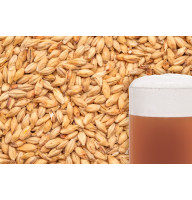 Солод BEST Munich