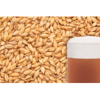 Солод BEST Munich