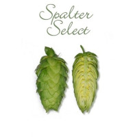 Хмель Spalter Select (Селект) α-3.0..6.5 %, кг