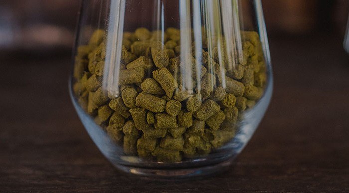 Indian Pale Ale (IPA)