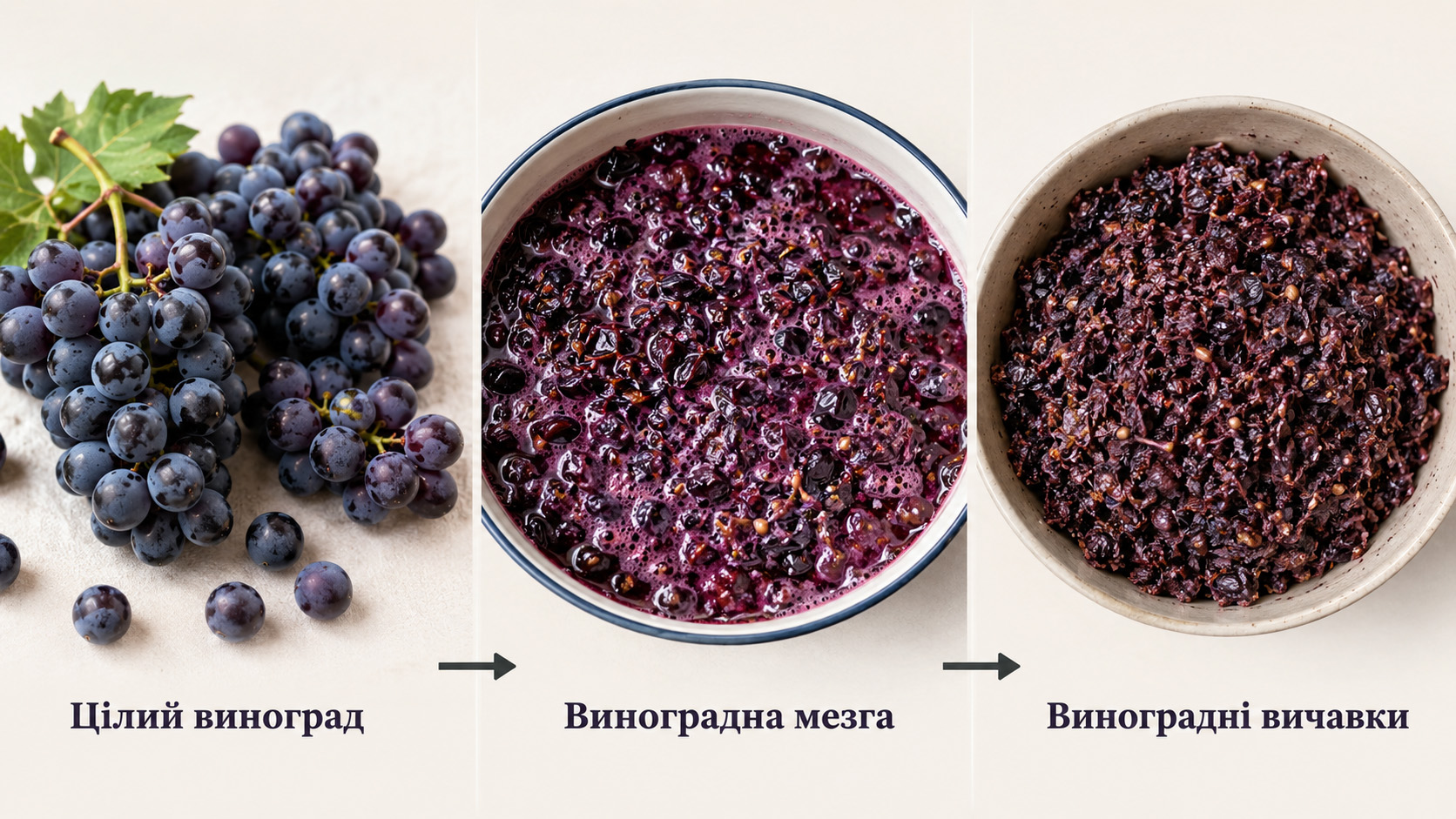 Виноград, мезга та виноградні вичавки для чачі