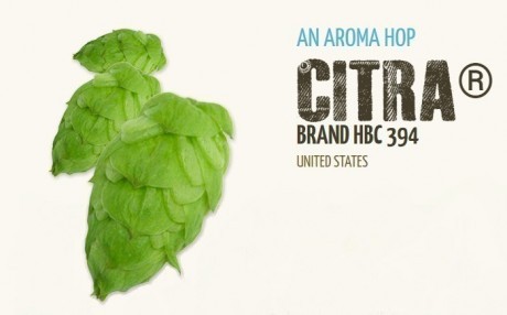 Хмель  Citra® (USA) 50 гр., α-12.5%