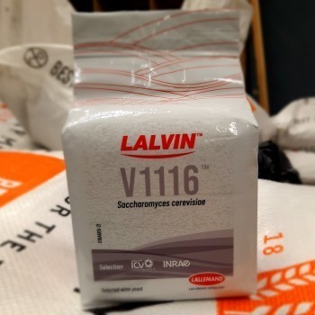 Wine yeast Lalvin V1116, 500 gr.