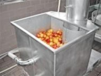 Установка для миття фруктів з Rätzmühle